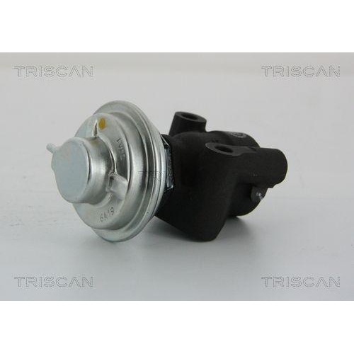 AGR-Ventil TRISCAN 8813 43014 f&uuml;r HYUNDAI