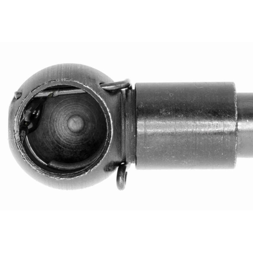 Gasfeder, Koffer-/Laderaum VAICO V10-0236 Original VAICO Qualit&auml;t f&uuml;r AUDI SEAT