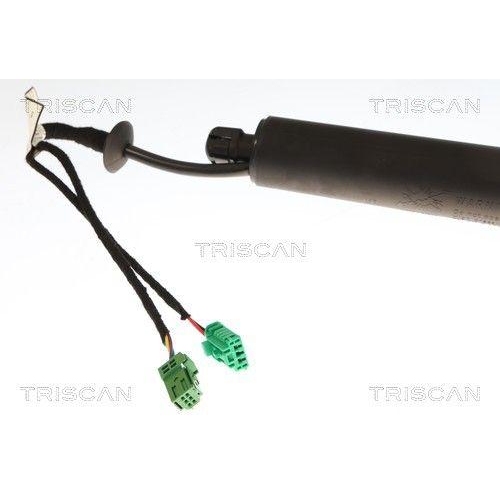 TRISCAN 8710 28304 Gasfeder, Koffer-/Laderaum f&uuml;r CITRO&Euml;N, rechts