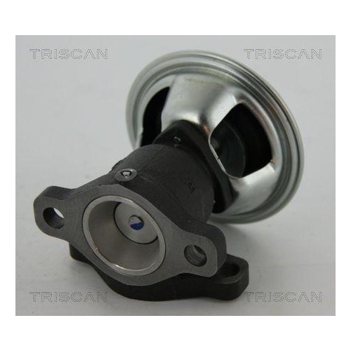 AGR-Ventil TRISCAN 8813 43022 f&uuml;r HYUNDAI KIA