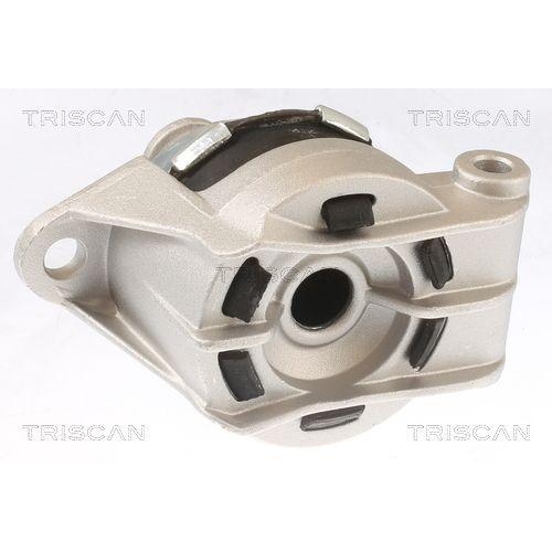 Lagerung, Motor TRISCAN 8505 24117 f&uuml;r OPEL VAUXHALL, hinten, unten