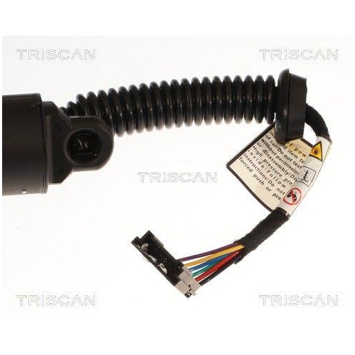 TRISCAN 8710 11372 Gasfeder, Koffer-/Laderaum f&uuml;r BMW, links, rechts