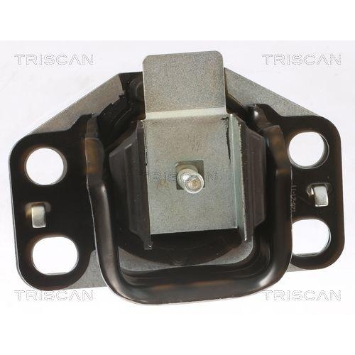 Lagerung, Motor TRISCAN 8505 25107 f&uuml;r RENAULT DACIA, rechts