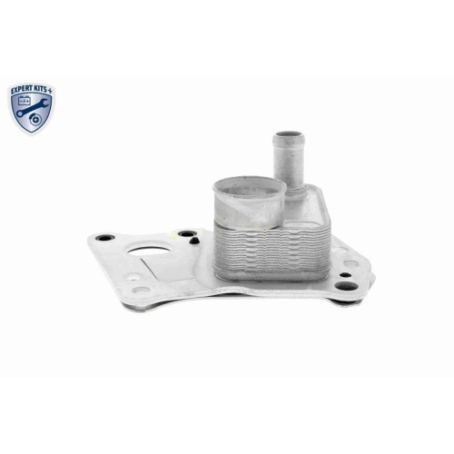 &Ouml;lk&uuml;hler, Motor&ouml;l VEMO V30-60-0008 EXPERT KITS + f&uuml;r MERCEDES-BENZ FORCE