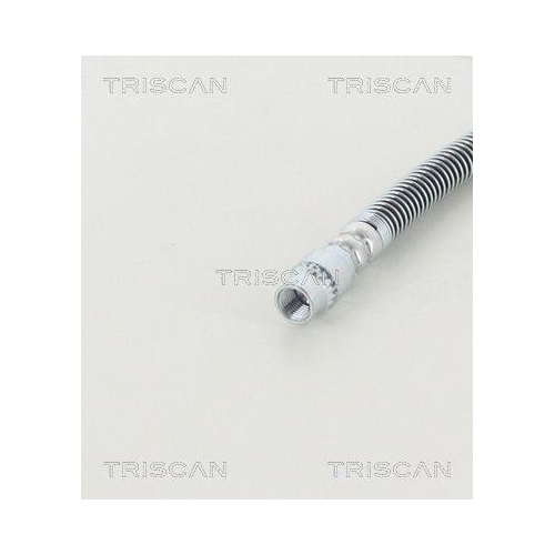Bremsschlauch TRISCAN 8150 10207 f&uuml;r CITRO&Euml;N FIAT LANCIA PEUGEOT, Hinterachse