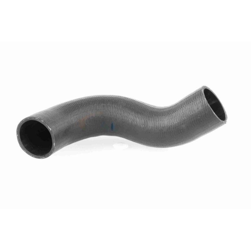 ACKOJA A38-0298 Ladeluftschlauch Original ACKOJA Qualit&auml;t f&uuml;r NISSAN