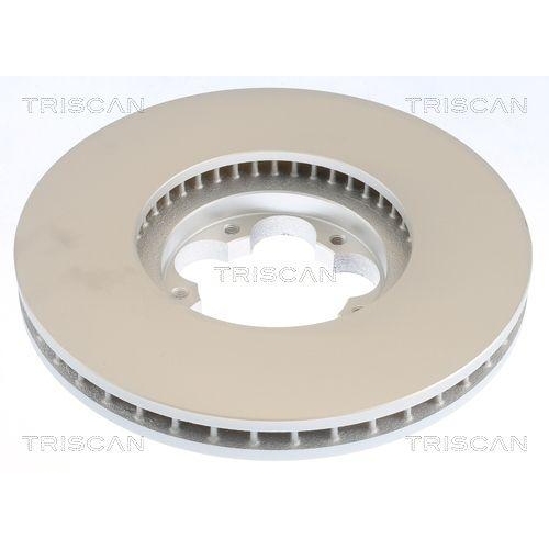 TRISCAN 8120 16194C 2 St&uuml;ck Bremsscheiben f&uuml;r FORD, Vorderachse