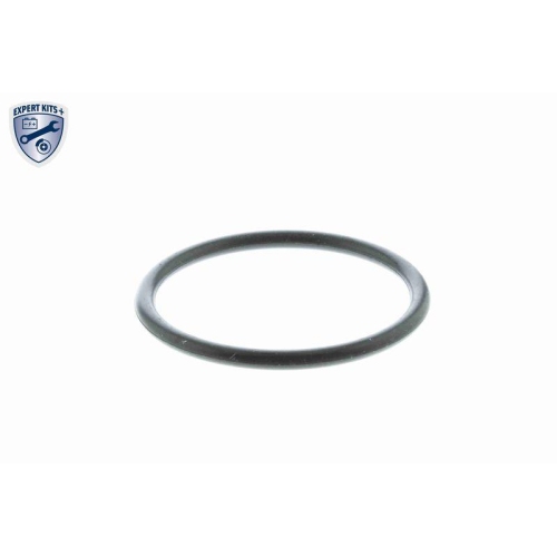 Thermostat, K&uuml;hlmittel VEMO V95-99-0006 EXPERT KITS + f&uuml;r FORD GMC NISSAN SAAB