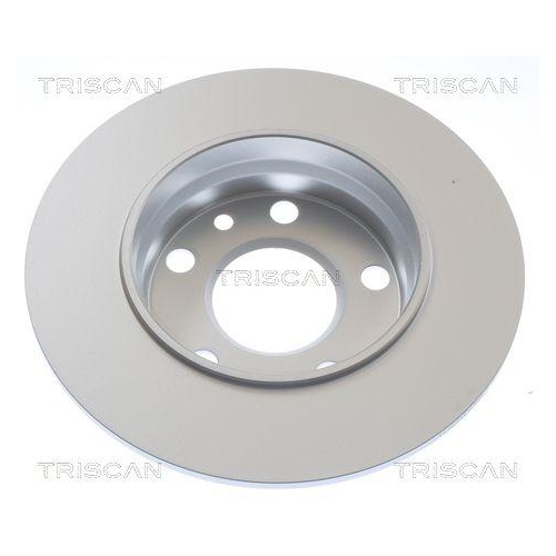 TRISCAN 8120 25191C 2 St&uuml;ck Bremsscheiben f&uuml;r NISSAN RENAULT, Hinterachse