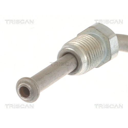 Bremsschlauch TRISCAN 8150 292023 f&uuml;r AUDI SEAT SKODA VW, Hinterachse links