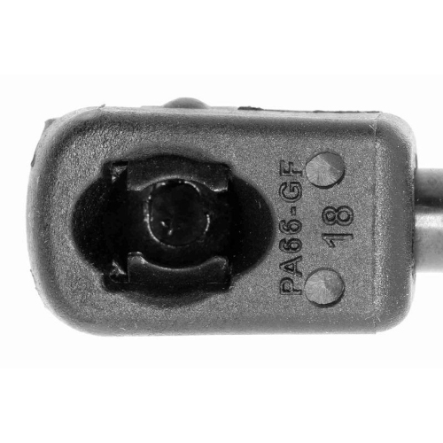 Gasfeder, Koffer-/Laderaum VAICO V10-1036 Original VAICO Qualit&auml;t f&uuml;r AUDI SEAT