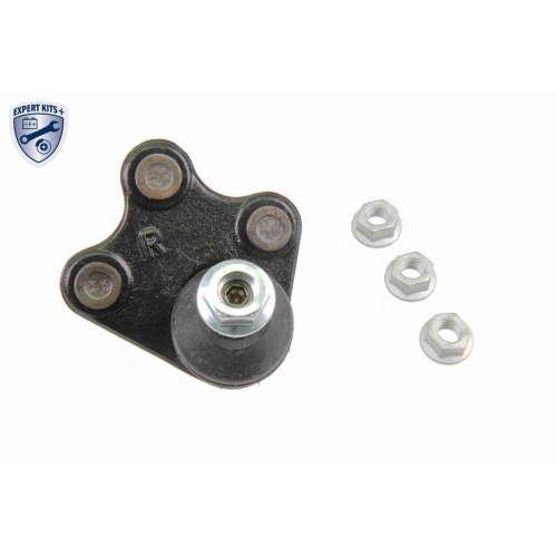 Lenker, Radaufh&auml;ngung VAICO V10-3146 EXPERT KITS + f&uuml;r AUDI SEAT SKODA VW VAG