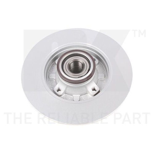 NK 319953 2 St&uuml;ck Bremsscheiben f&uuml;r CITRO&Euml;N OPEL PEUGEOT VAUXHALL DS, Hinterachse