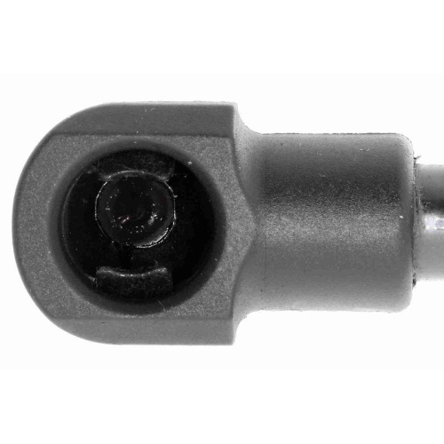 Gasfeder, Motorhaube VAICO V10-3241 Green Mobility Parts f&uuml;r AUDI SEAT SKODA VW