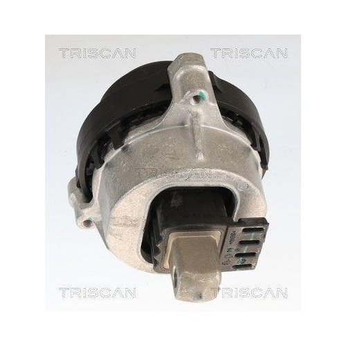 TRISCAN 8505 11123 Lagerung, Motor f&uuml;r BMW, rechts, vorne