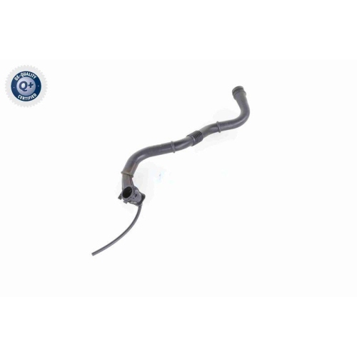 Ladeluftschlauch VAICO V46-0742 Q+, Erstausr&uuml;sterqualit&auml;t f&uuml;r RENAULT