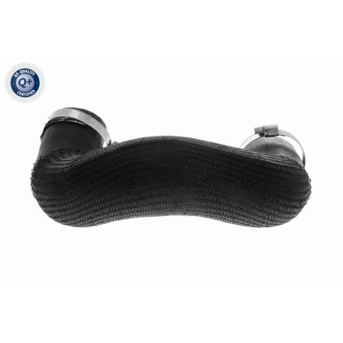 Ladeluftschlauch VAICO V46-0849 Q+, Erstausrüsterqualität für CHRYSLER RENAULT