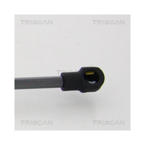 Gasfeder, Koffer-/Laderaum TRISCAN 8710 21215 f&uuml;r CHEVROLET DAEWOO, hinten links
