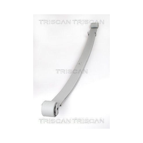 Federnpaket TRISCAN 8765 10005 für, Hinterachse