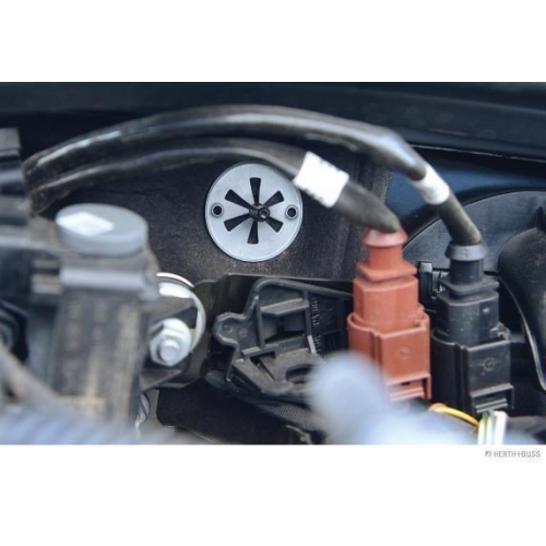 Clip, Zier-/Schutzleiste HERTH+BUSS ELPARTS 50267069 f&uuml;r AUDI FORD VW VAG