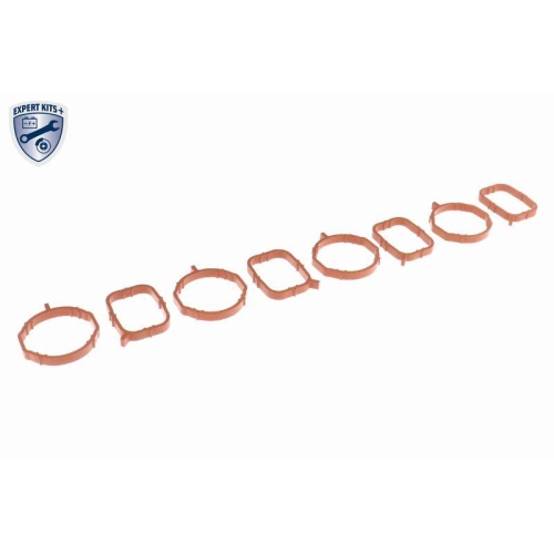 Saugrohrmodul VAICO V10-6484 EXPERT KITS + für AUDI SEAT SKODA VW VAG