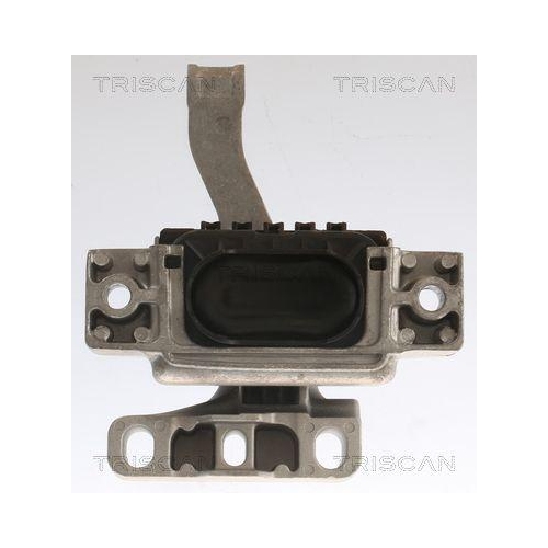 Lagerung, Motor TRISCAN 8505 29158 f&uuml;r AUDI SEAT SKODA VW, rechts