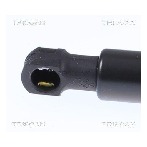 Gasfeder, Koffer-/Laderaum TRISCAN 8710 14260 für NISSAN, hinten links