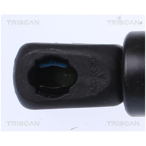 Gasfeder, Koffer-/Laderaum TRISCAN 8710 16279 f&uuml;r FORD, hinten links