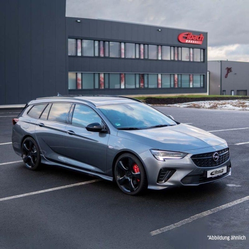 Fahrwerkssatz, Federn EIBACH E10-65-032-09-22 Pro-Kit für, Hinterachse