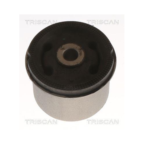 Lagerung, Achsk&ouml;rper TRISCAN 8500 43872 f&uuml;r HYUNDAI, Hinterachse, au&szlig;en, hinten