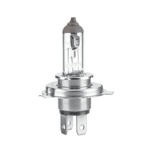 HELLA Gl&uuml;hlampe, Hauptscheinwerfer 8GJ 235 698-101 STANDARD f&uuml;r