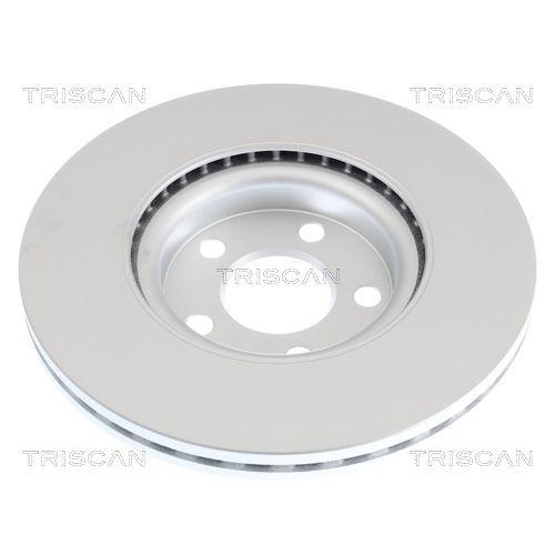 TRISCAN 8120 161001C 2 St&uuml;ck Bremsscheiben f&uuml;r FORD, Vorderachse