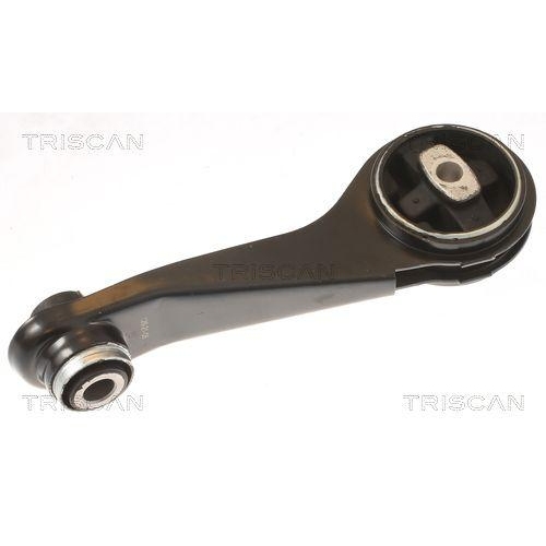 Lagerung, Motor TRISCAN 8505 25125 f&uuml;r RENAULT, hinten, unten