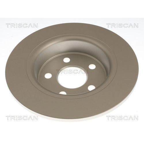 TRISCAN 8120 161003C 2 St&uuml;ck Bremsscheiben f&uuml;r FORD, Hinterachse