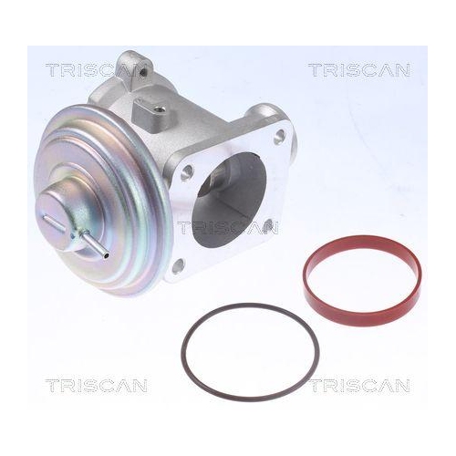 AGR-Ventil TRISCAN 8813 11105 f&uuml;r BMW