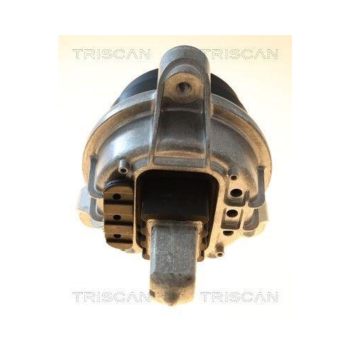 TRISCAN 8505 11130 Lagerung, Motor f&uuml;r BMW, links, vorne