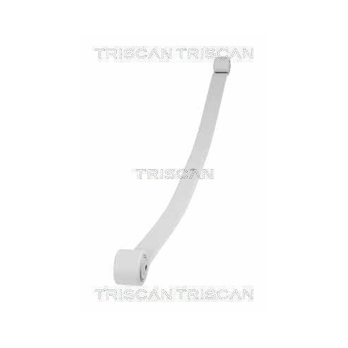 Federnpaket TRISCAN 8765 16044 f&uuml;r FORD, Hinterachse