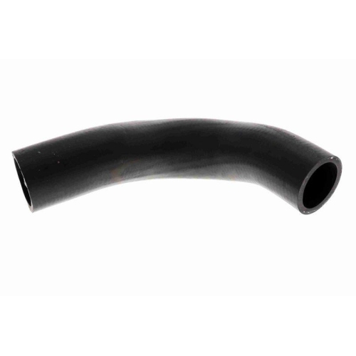 ACKOJA A63-1601 K&uuml;hlerschlauch Original ACKOJA Qualit&auml;t f&uuml;r SUBARU, unten