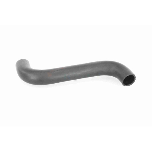ACKOJA A63-1602 K&uuml;hlerschlauch Original ACKOJA Qualit&auml;t f&uuml;r SUBARU, oben