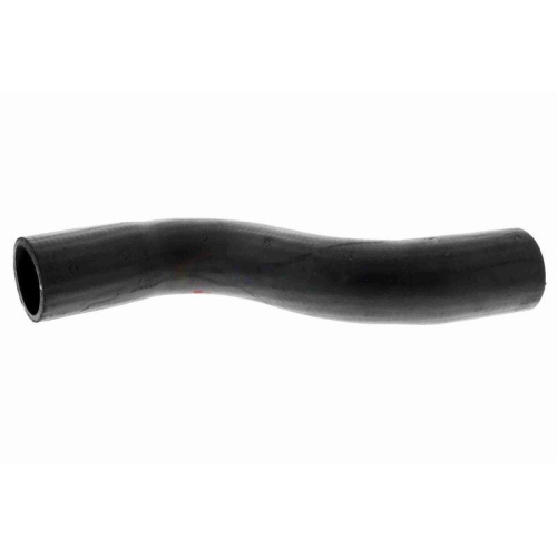 ACKOJA A63-1603 K&uuml;hlerschlauch Original ACKOJA Qualit&auml;t f&uuml;r SUBARU, oben