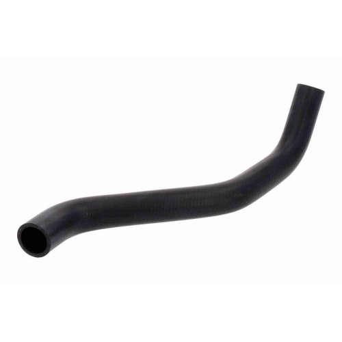 ACKOJA A64-1601 K&uuml;hlerschlauch Original ACKOJA Qualit&auml;t f&uuml;r SUZUKI, unten