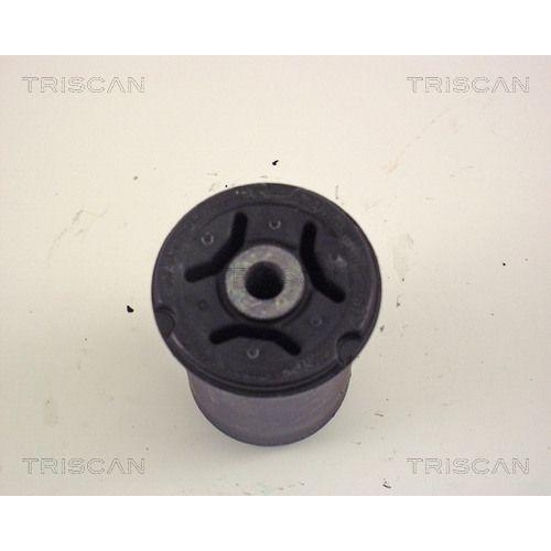 Lagerung, Achsk&ouml;rper TRISCAN 8500 29844 f&uuml;r AUDI, Hinterachse, au&szlig;en