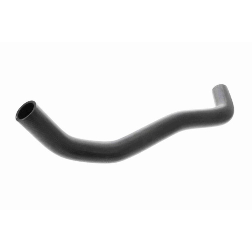 ACKOJA A64-1604 K&uuml;hlerschlauch Original ACKOJA Qualit&auml;t f&uuml;r SUZUKI, unten