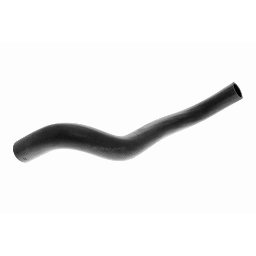 ACKOJA A64-1605 K&uuml;hlerschlauch Original ACKOJA Qualit&auml;t f&uuml;r SUZUKI, unten