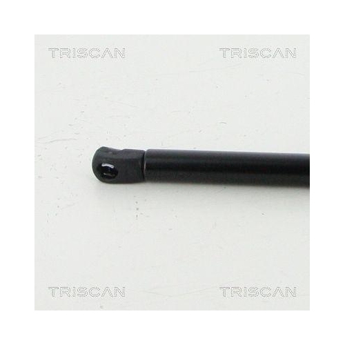 Gasfeder, Koffer-/Laderaum TRISCAN 8710 16264 f&uuml;r