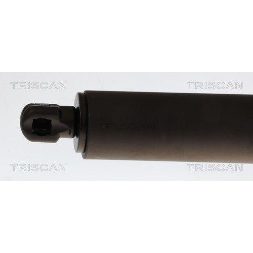 TRISCAN 8710 16281 Gasfeder, Koffer-/Laderaum f&uuml;r FORD, rechts