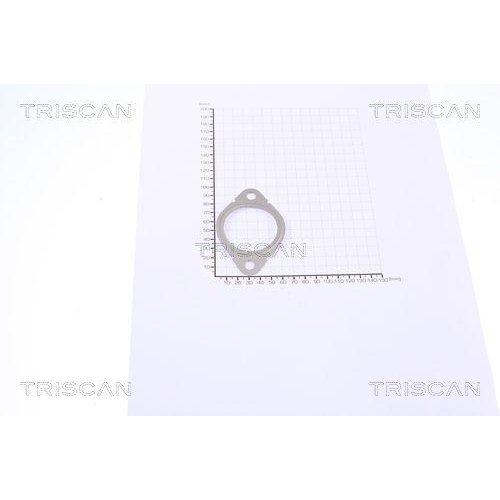 Dichtung TRISCAN 8813 99126 f&uuml;r