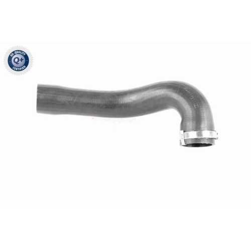 Ladeluftschlauch VAICO V40-1508 Q+, Erstausrüsterqualität für OPEL