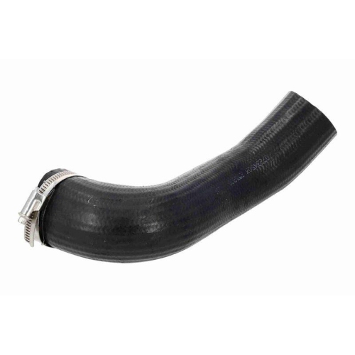 VAICO V10-000137 Ladeluftschlauch Original VAICO Qualit&auml;t f&uuml;r AUDI SEAT SKODA VW