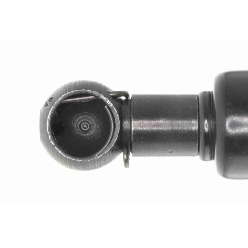 ACKOJA A64-0020 Gasfeder, Koffer-/Laderaum Original ACKOJA Qualit&auml;t f&uuml;r SUZUKI
